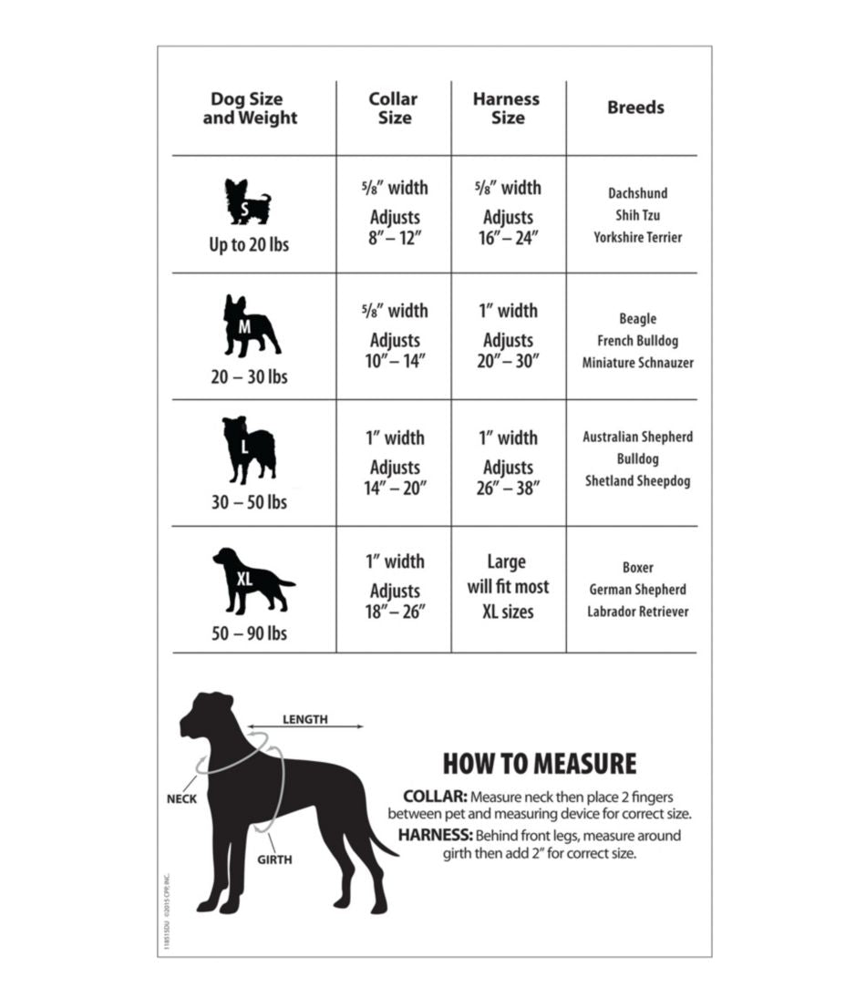 L.L.Bean | Personalized Pet Collar